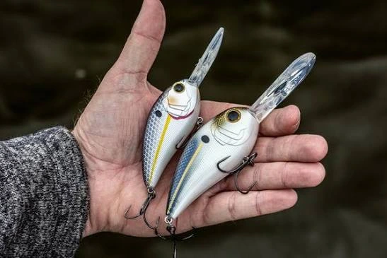 Deep Diving Crankbait