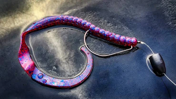Texas-Rigged Soft Plastic Worm